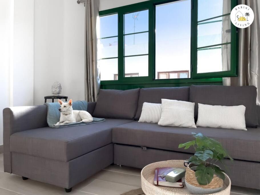 Casa Alicia Central Town By Babiniliving 科拉雷侯 外观 照片